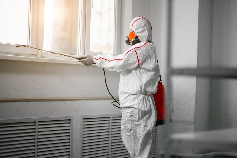 Professional mold remediation services in Newcomerstown, OH